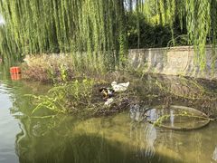-南翠屏公园