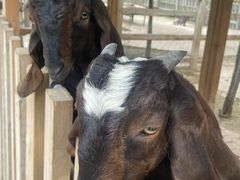 -水上乐园·欢乐世界