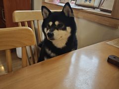 -柴の食堂·日式家庭料理·熊之肆(大学路店)