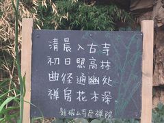 -云峰山自然风景区