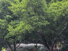 -云洞岩风景区