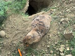-国色天乡三期陆地乐园