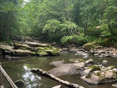 -茅兰沟国家森林公园