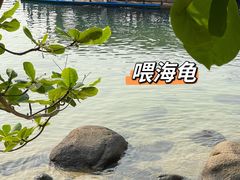 -海南分界洲岛旅游区