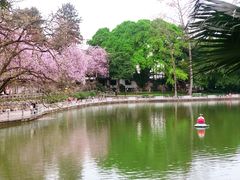 -柳侯公园