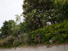 -祝甸砖窑文化馆