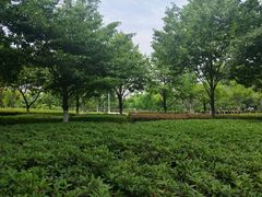 -白塘生态植物园