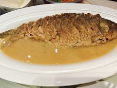 -阿庄新豫菜(航海东路店)