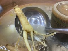 -朴小妹人参鸡汤火锅(长白山万达店)