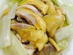 -新陶陶酒家