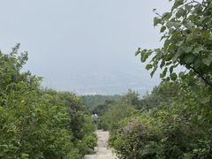 -北京西山国家森林公园