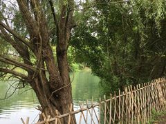 -贵阳市花溪国家城市湿地公园