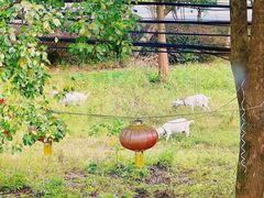 -翠茗农庄土菜馆(天目湖店)