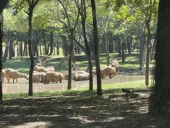 -秦皇岛野生动物园