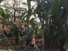 -北戴河集发农业梦想王国