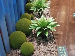-湊湊火锅·茶憩(来福士广场店)