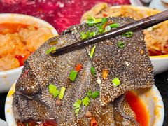 -红鼎坊·老成都火锅(新南门店)