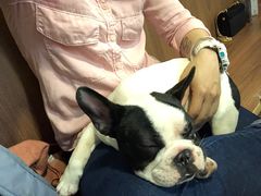 -柯斗斗主题餐厅·狗咖·围炉煮茶·茶饮(国瑞升平里店)