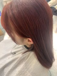 -潘多拉Hairsalon