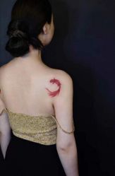 点击看大图 -越域刺青