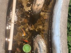 -湘芙蓉·湖南菜(椒江店)