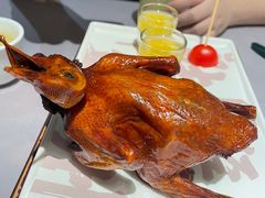 -大鸽饭(体育西路店)