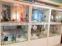 -7mall美食潮地标