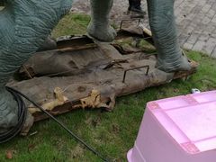 -重庆际华园室内极限运动中心