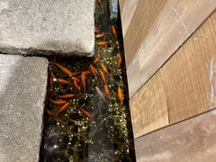 -邈墨茶馆(凤起路店)