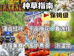 -广州市流溪河国家森林公园