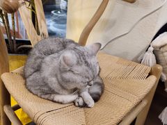 -冰拾叁(新都店)