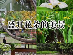 -成都市活水公园