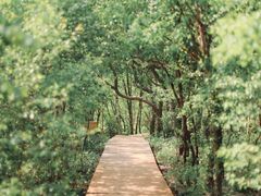 -白草畔自然风景区