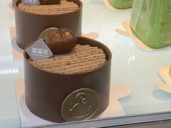 -TD66高山铁皮石斛养生茶饮