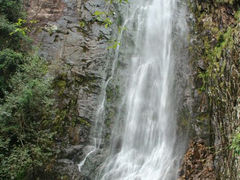 android_upload_pic-旗山国家森林公园
