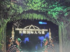 -广州长隆国际大马戏