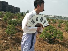 -中国汉城景区