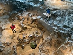 -自贡恐龙博物馆