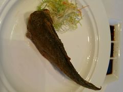 android_upload_pic-长兴楼饭店