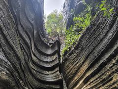 -梭布垭石林景区