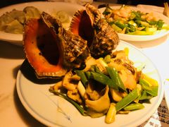 -日丰园海肠水饺·老字号大连海鲜(和平广场店)