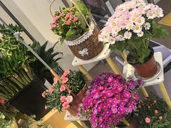 -前进5路汉堡炸鸡(昙华林店)