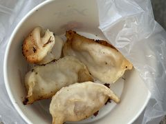 -胖子锅贴(双阳路111弄店)