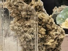 -湖南省地质博物馆