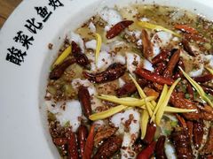 -太二酸菜鱼(汕头苏宁广场店)