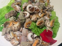 螺拼盘-浙C老邻舍(西城海错店)