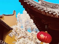 -龙华寺