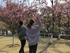 -孝子祠公园