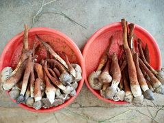 -云南木水花野生菌交易中心