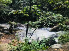 -云岫谷游猎自然风景区